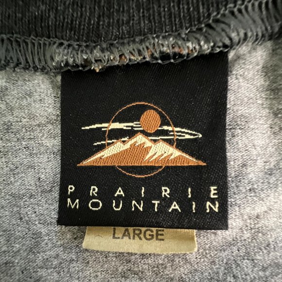 Champion Surfing Longboard Classic Santa Cruz Raglan T Shirt Gray Mens Large L - Picture 5 of 8